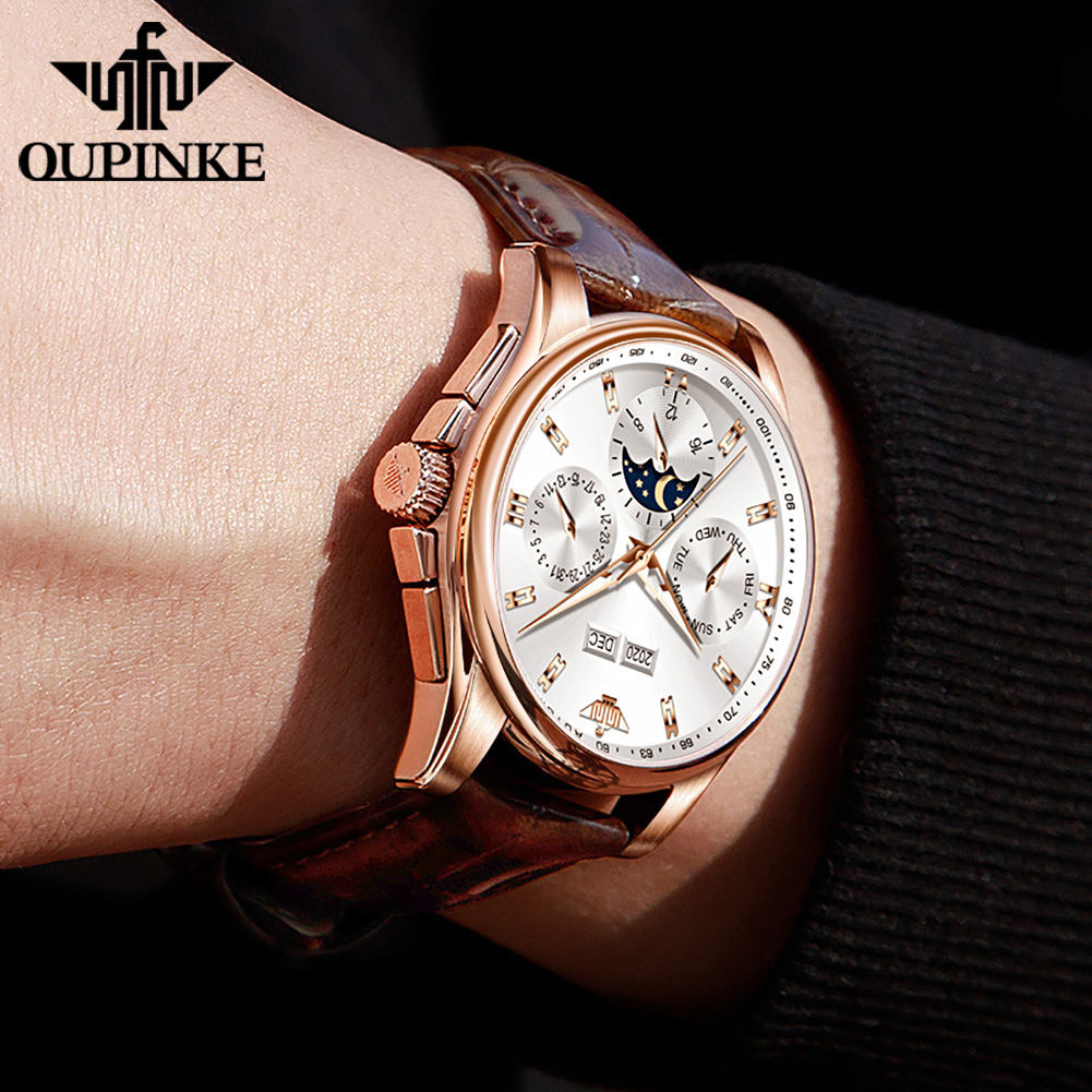 OUPINKE 3189 Men's Watch Top B - Seiko Watch Presage review and price