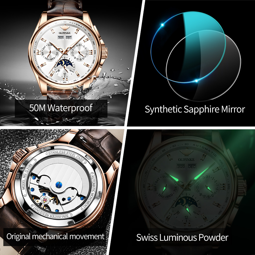 OUPINKE 3189 Men's Watch Top B - Seiko Watch Presage review and price